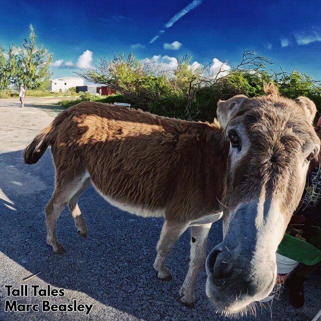 Tall Tales