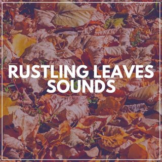 Rustling Sound Examples Rustling Leaves Sounds by Pink Noise & Pink Noise Babies on TIDAL