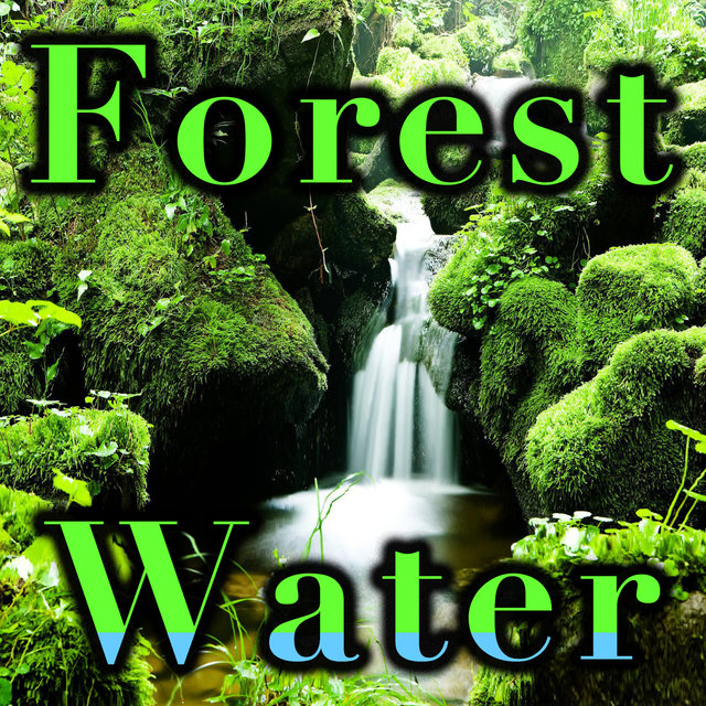 Forest Water