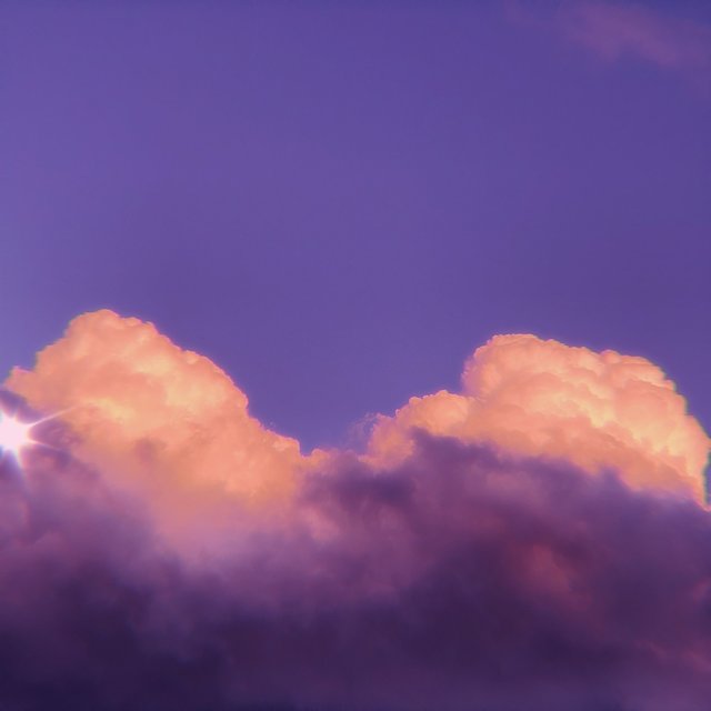 Dreams