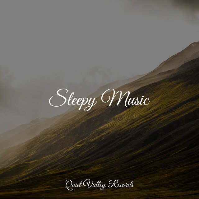 Sleepy Music