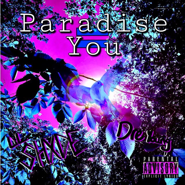 Paradise You