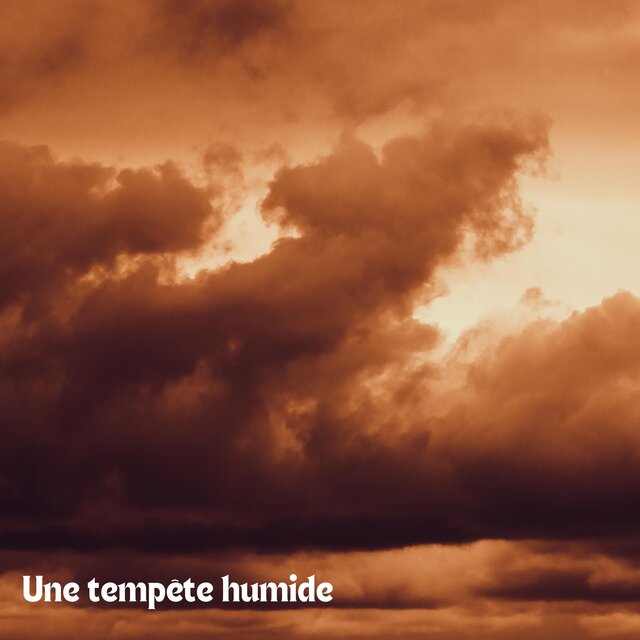 Une tempête humide