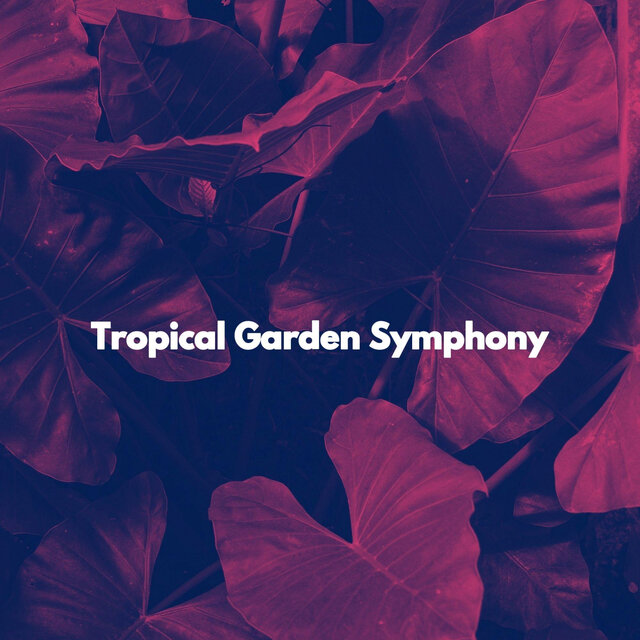 Tropical Garden Symphony