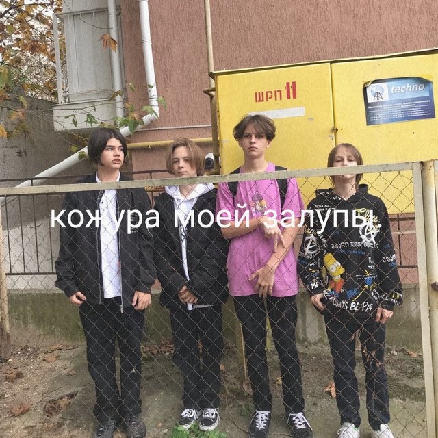 КОЖУРА МОЕЙ ЗАЛУПЫ