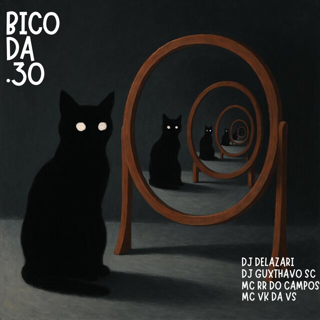 BICO DA .30 (feat. DJ Guxthavo SC, MC RR do Campos & MC VK DA VS)