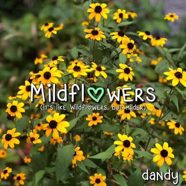 Mildflowers