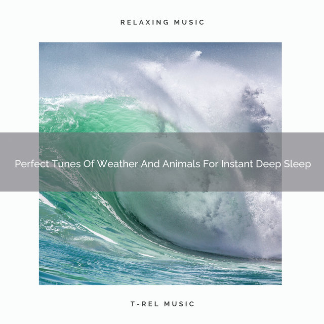 Perfect Tunes Of Weather And Animals For Instant Deep Sleep