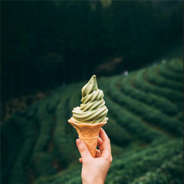 a green tea field