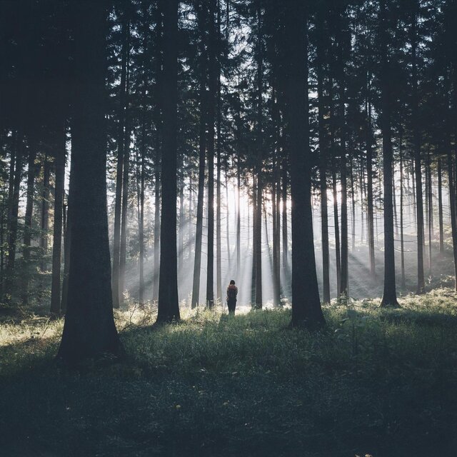 Appel de la Forêt Intérieure