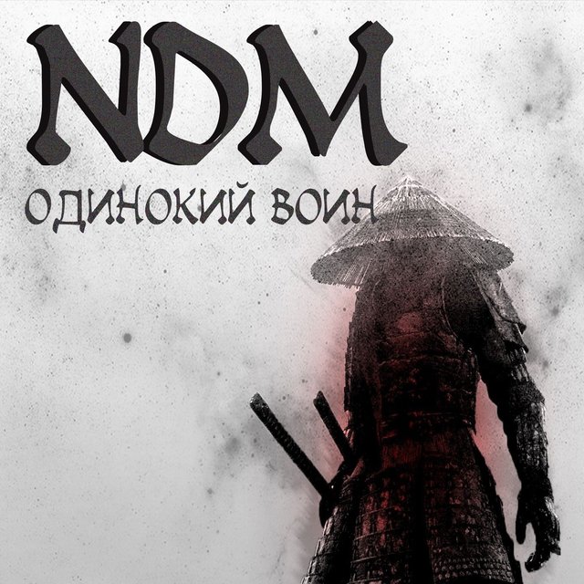 Одинокий воин