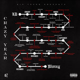 Crazy Year