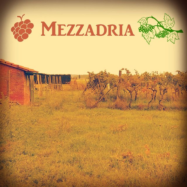 Mezzadria