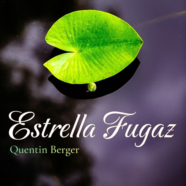 Estrella Fugaz