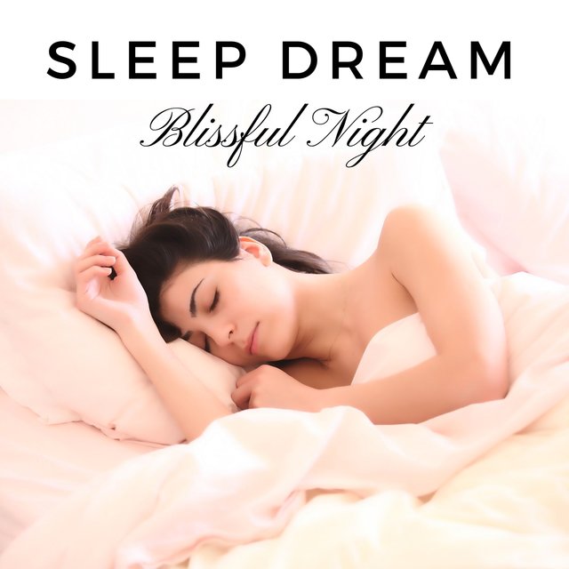 Sleep Dream - Blissful Night, Evening Harmony, Soothing Sounds for Relaxation, Nice Sleep