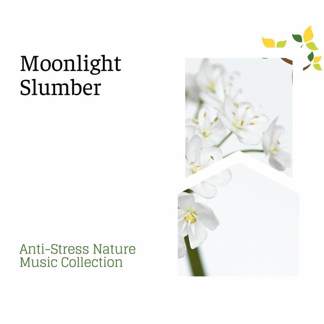 Moonlight Slumber - Anti-Stress Nature Music Collection