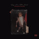 Cover art for album The Shadow In The Shade by Sy Ari Da Kid