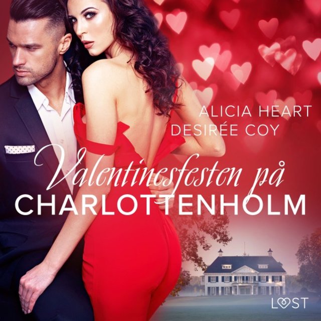Valentinesfesten på Charlottenholm - Erotisk novell
