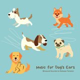 Listen Through a Dog's Ear