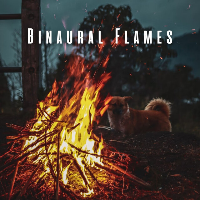 Binaural Flames: Dog's Fireside Tales