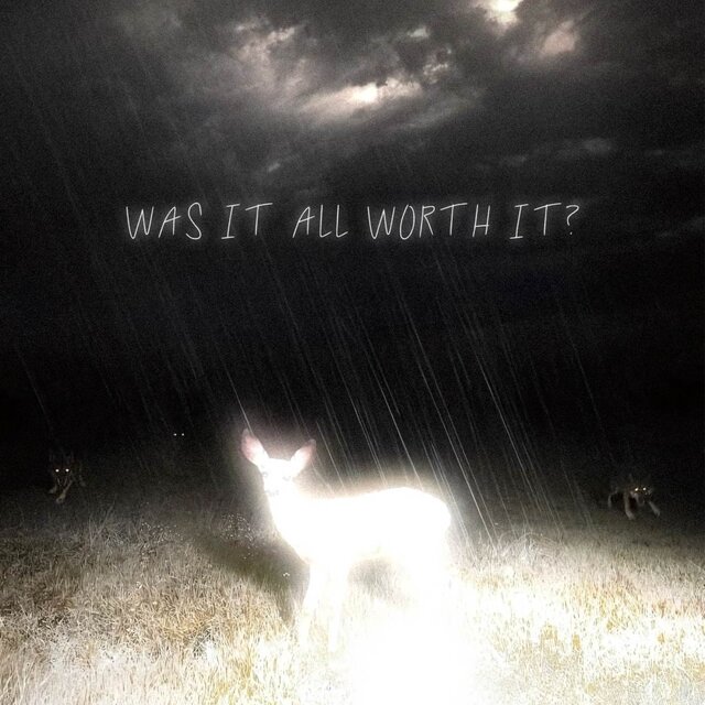 was it all worth it?