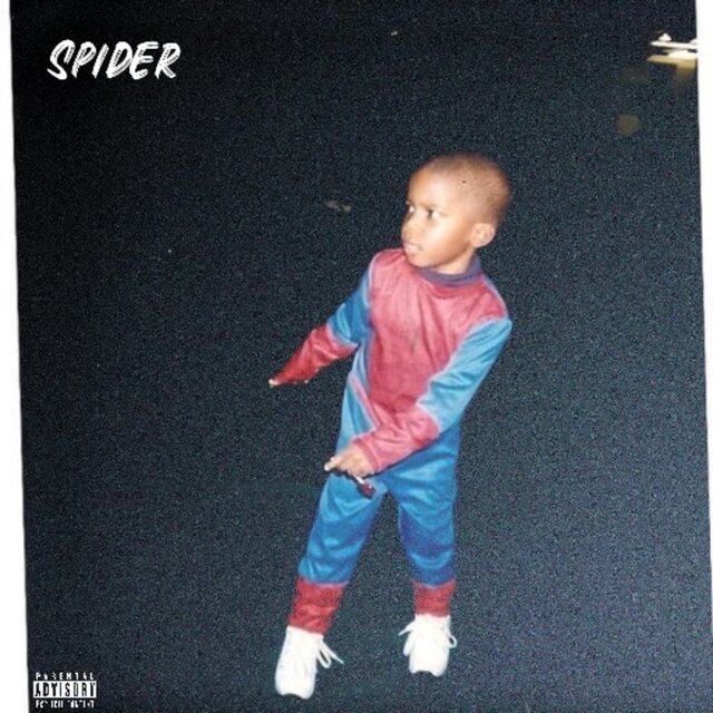 Spider