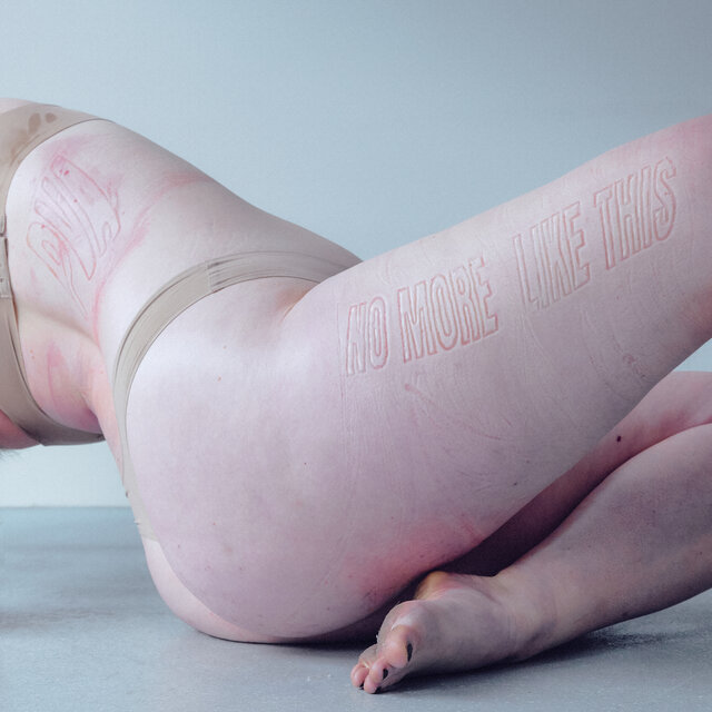 Cover art for album No More Like This by PVA