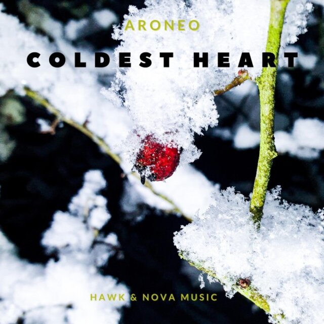 Coldest Heart (Extended Mix)