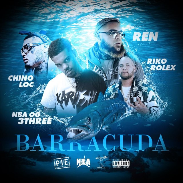 Barracuda