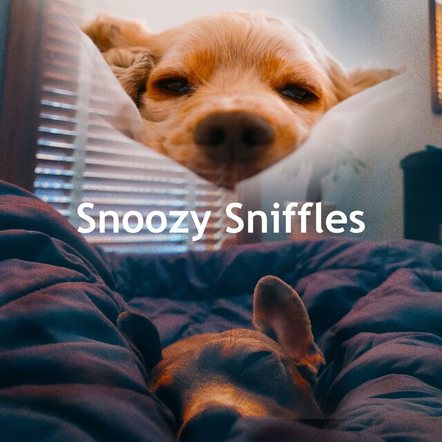 Snoozy Sniffles