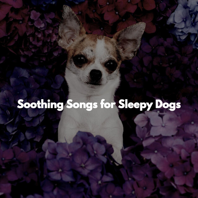Soothing Songs for Sleepy Dogs