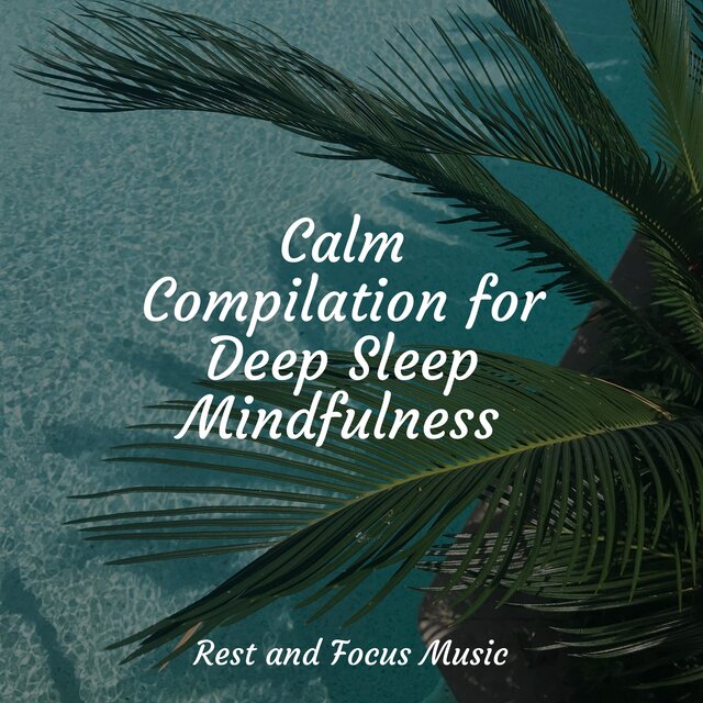 Calm Compilation for Deep Sleep Mindfulness