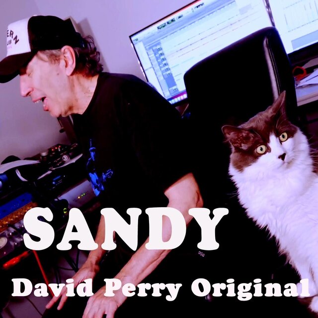 Sandy