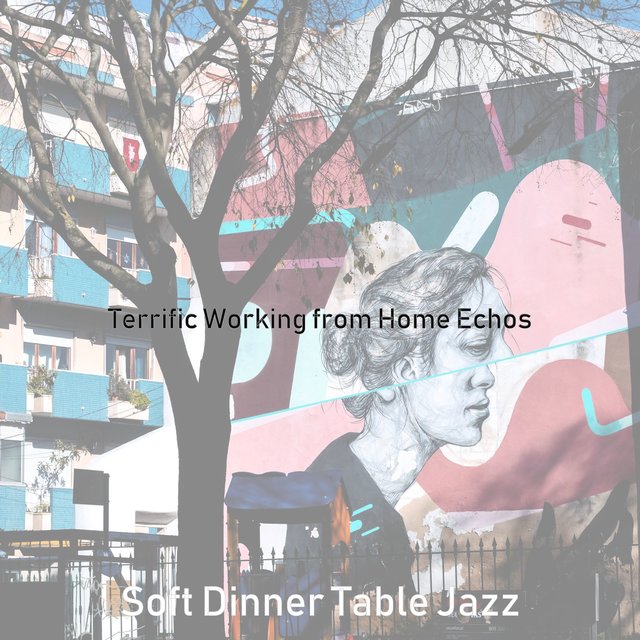 Terrific Working from Home Echos
