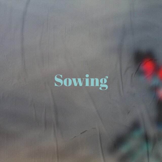 Sowing