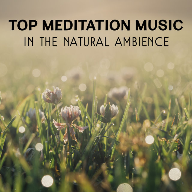 Top Meditation Music in the Natural Ambience – Yoga Exercises Sounds, Stress Relief, Inner Harmony, Relaxing Healing Music