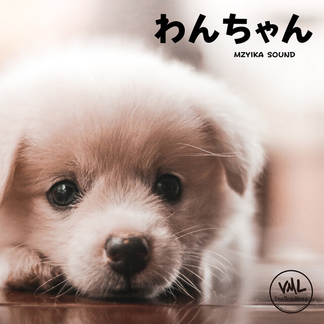 puppy