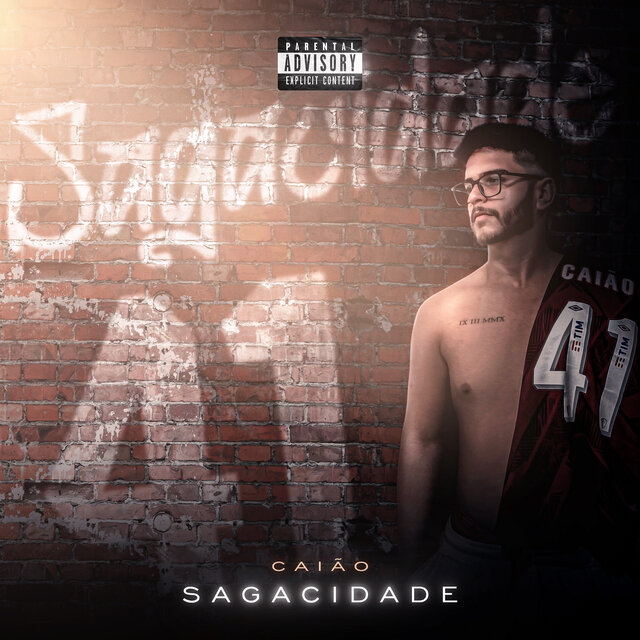 Sagacidade