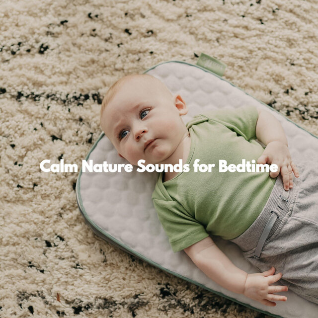 Calm Nature Sounds for Bedtime