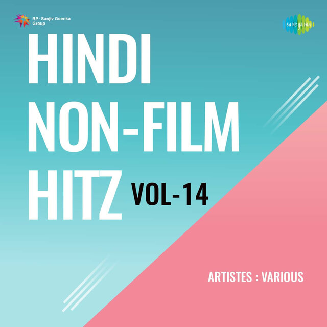Hindi Non-Film Hitz, Vol. 14