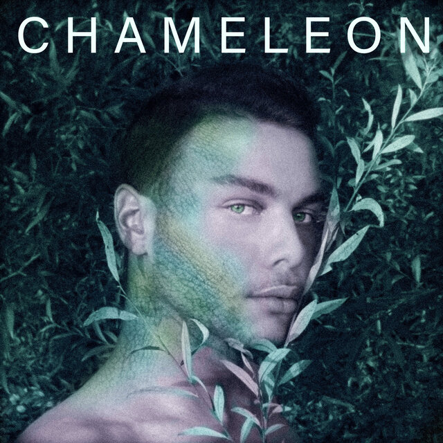 Chameleon