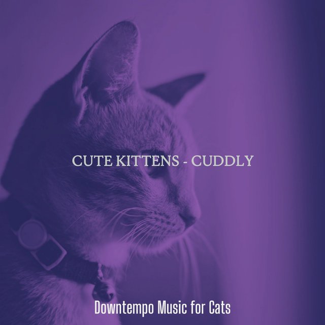Cute Kittens - Cuddly