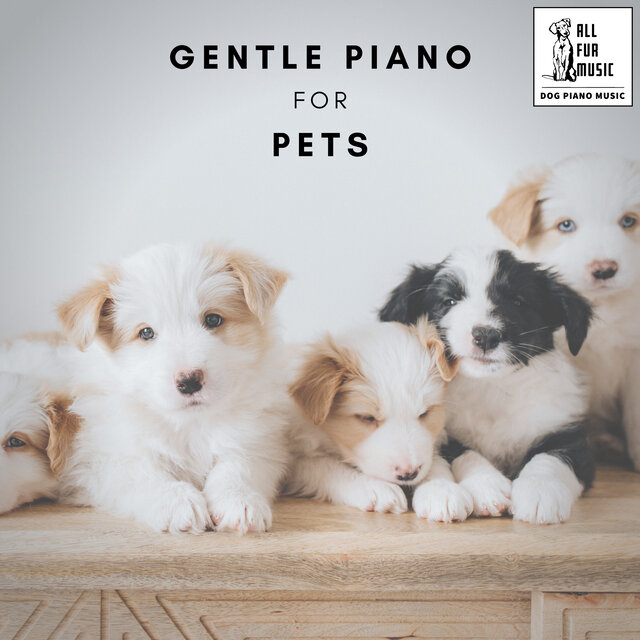 Gentle Piano for Pets