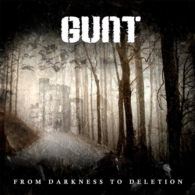 Cover art for album  by Gunt