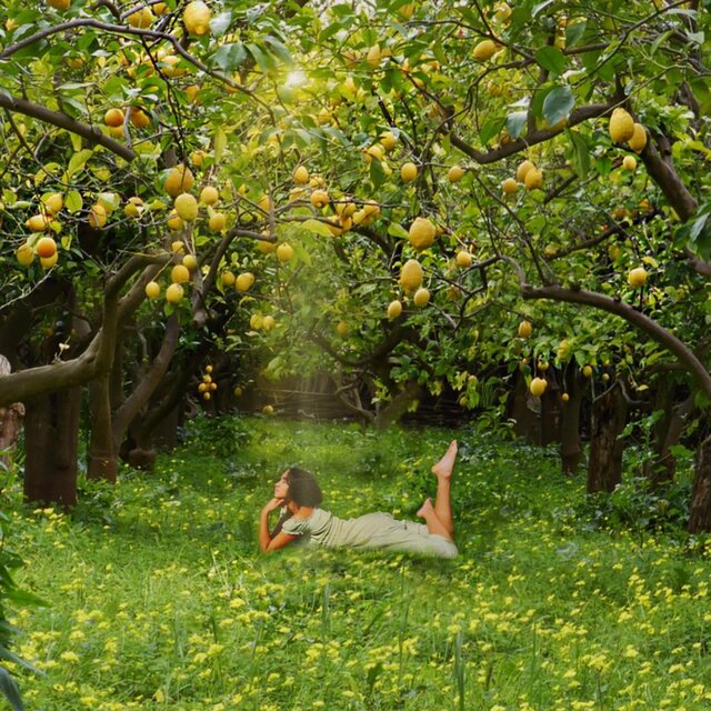 Lemons