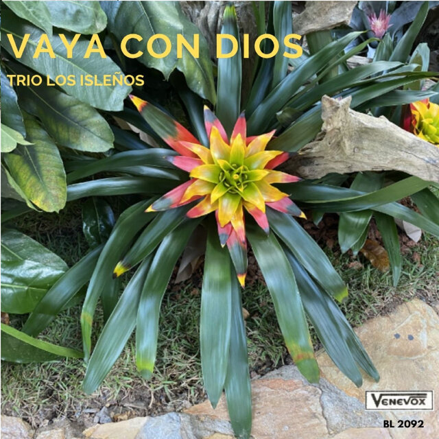 Vaya Con Dios