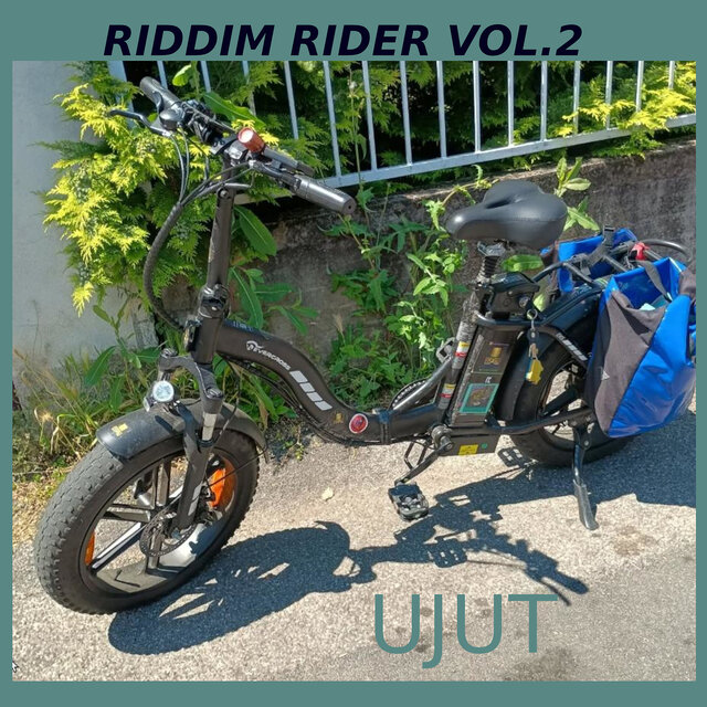 Riddim Rider, Vol.2