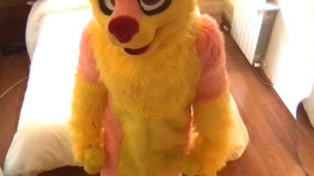 miau ♪ miau