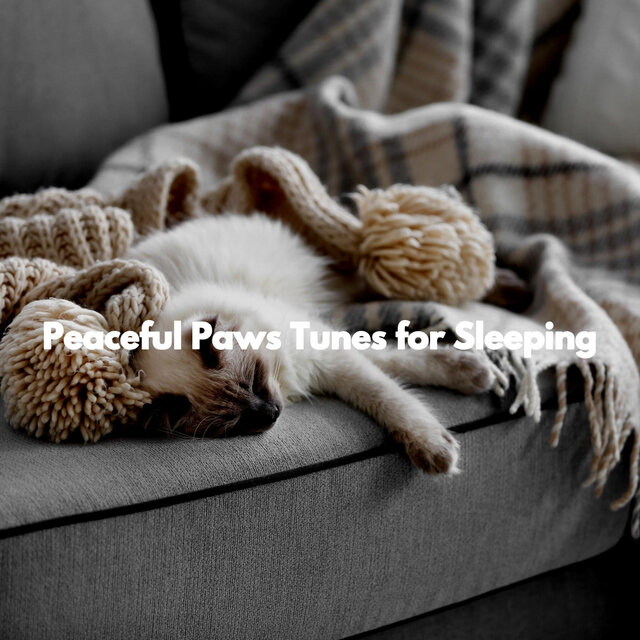Peaceful Paws Tunes for Sleeping