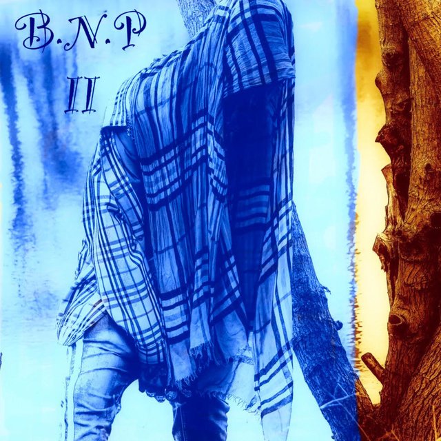 Bnp2 Deluxe